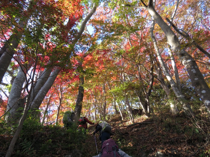 奥久慈・男体山